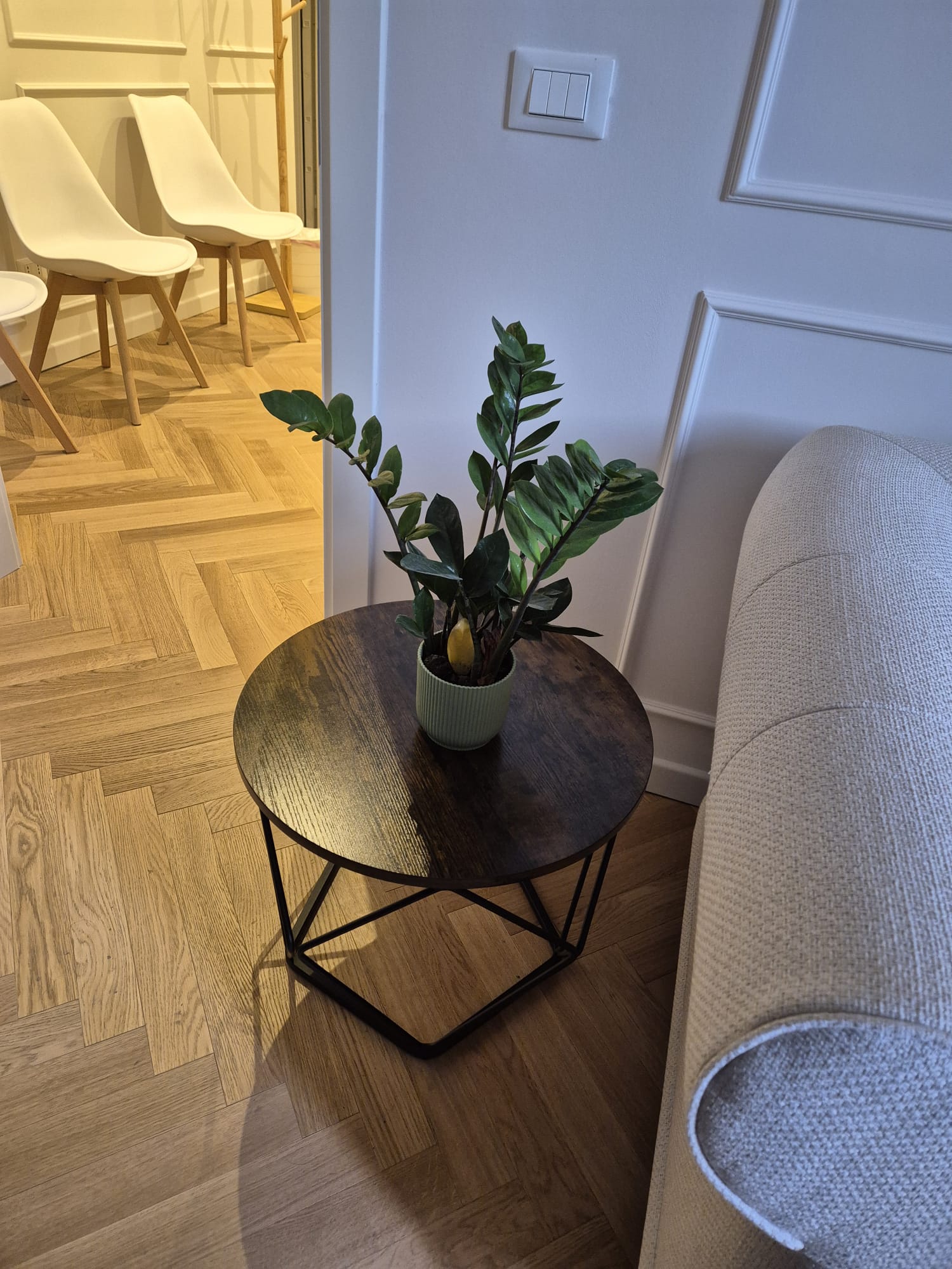 Studio - dettaglio 1